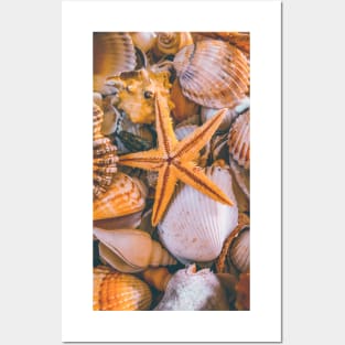 Nature Seashells Starfish Yoga Caribbean Beach Posters and Art